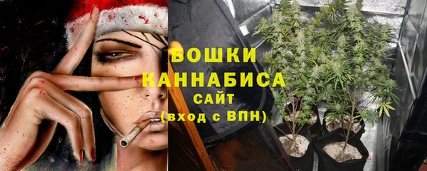 амф Майский