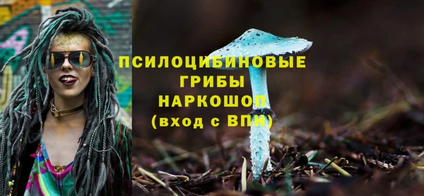 амф Майский